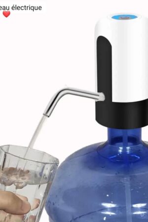 Pompe à Eau Electrique